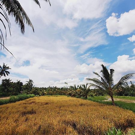 Bunga Maliq Bungalow Lombok Тетебату Екстериор снимка
