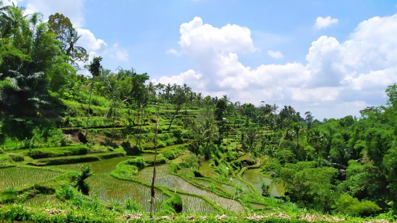 Bunga Maliq Bungalow Lombok Тетебату Екстериор снимка