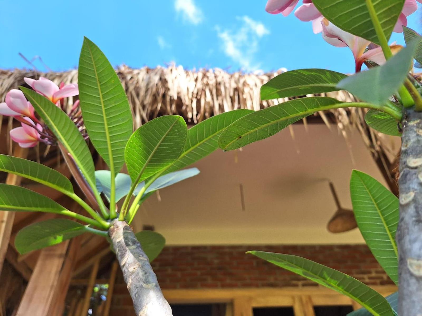 Bunga Maliq Bungalow Lombok Тетебату Екстериор снимка