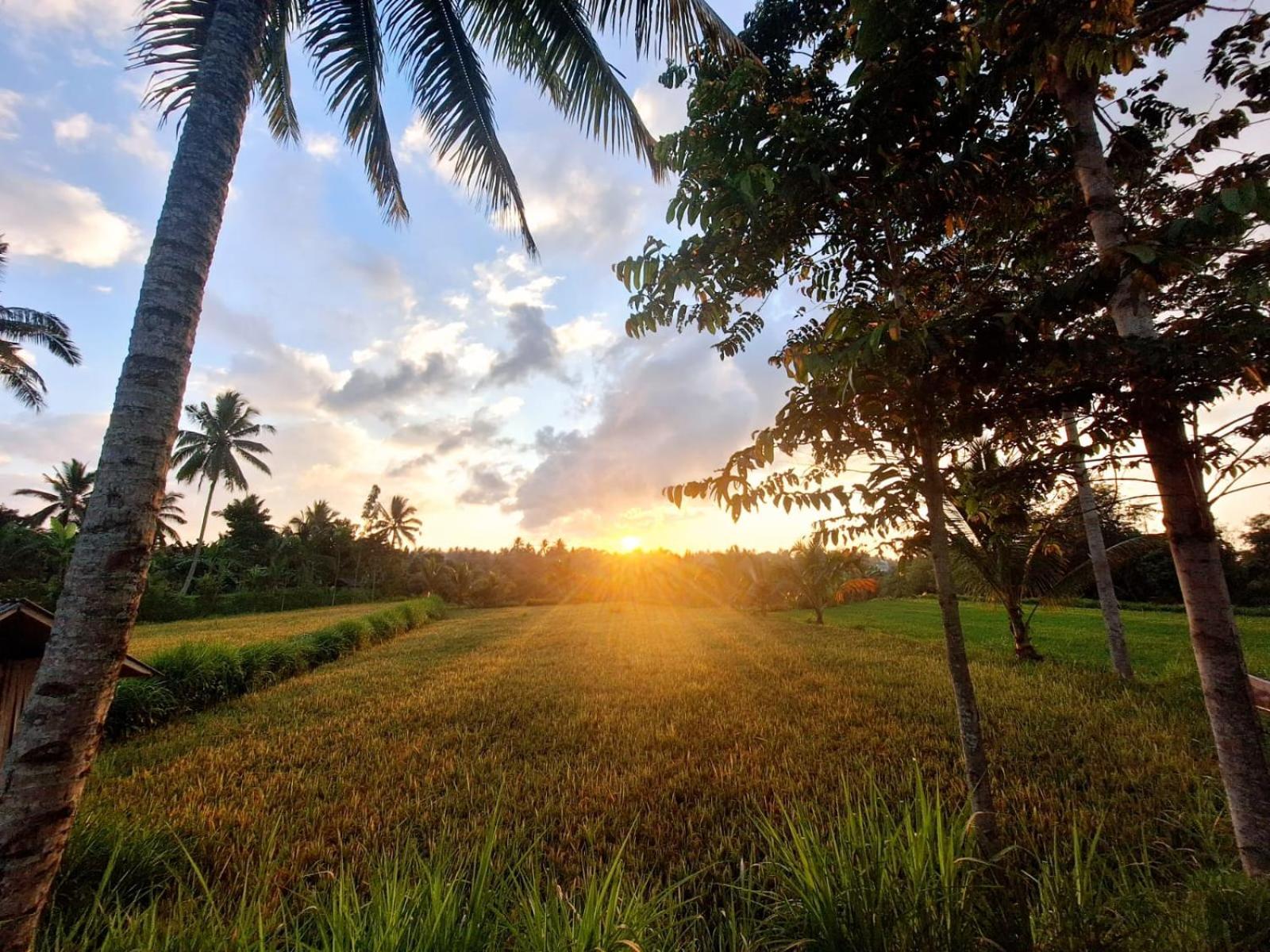 Bunga Maliq Bungalow Lombok Тетебату Екстериор снимка