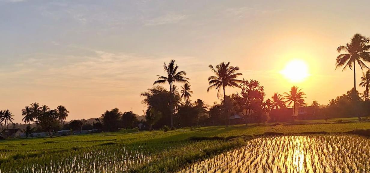 Bunga Maliq Bungalow Lombok Тетебату Екстериор снимка