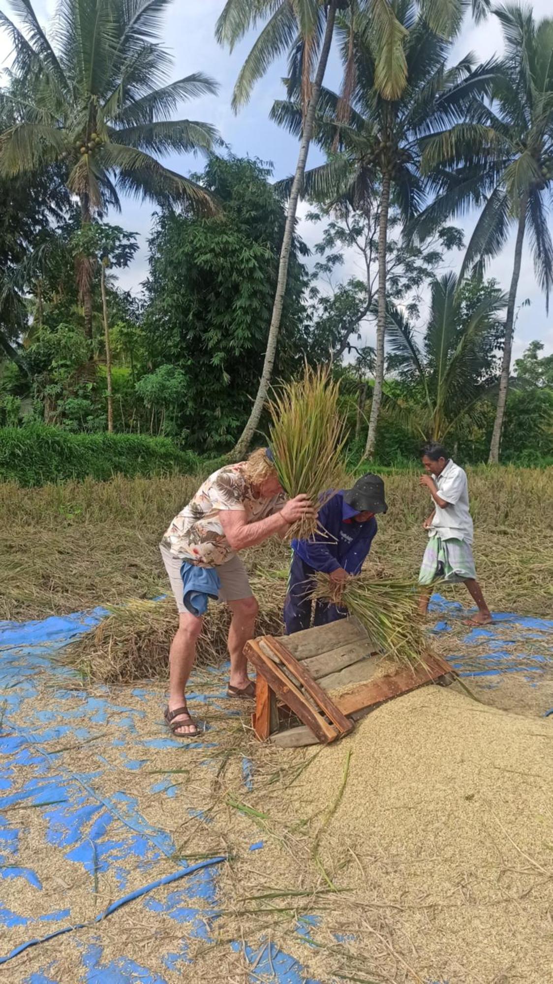 Bunga Maliq Bungalow Lombok Тетебату Екстериор снимка