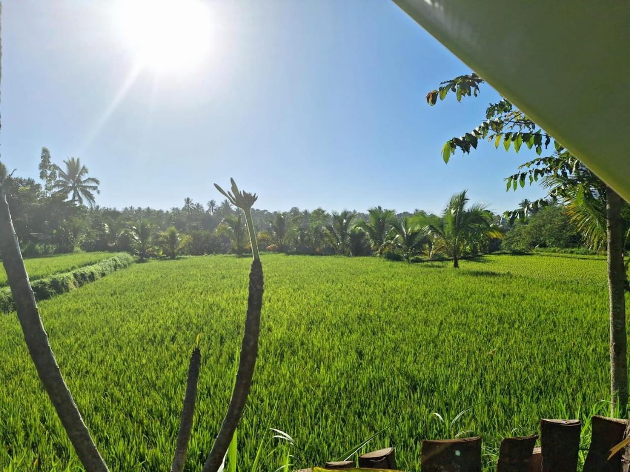 Bunga Maliq Bungalow Lombok Тетебату Стая снимка