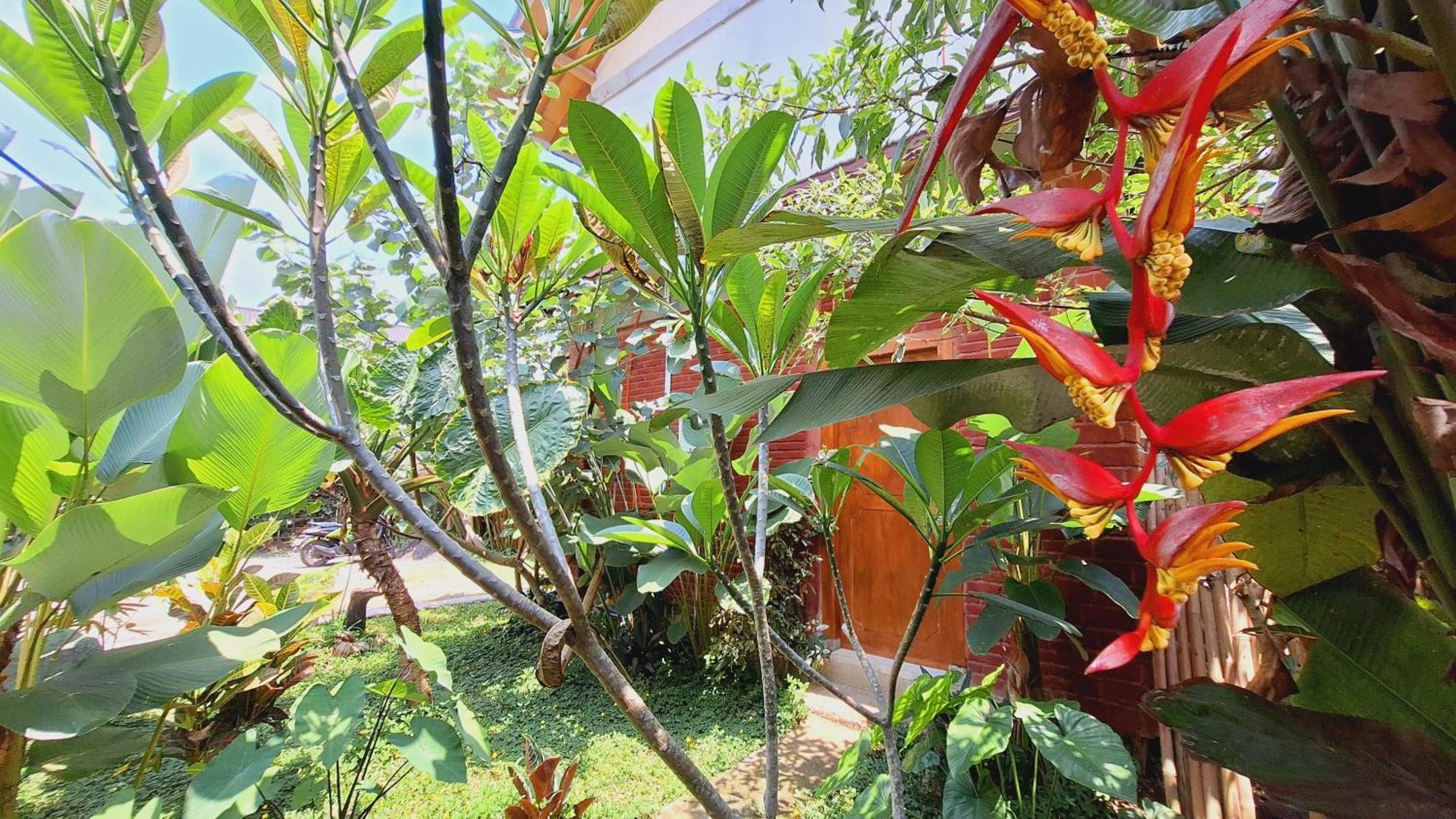 Bunga Maliq Bungalow Lombok Тетебату Стая снимка