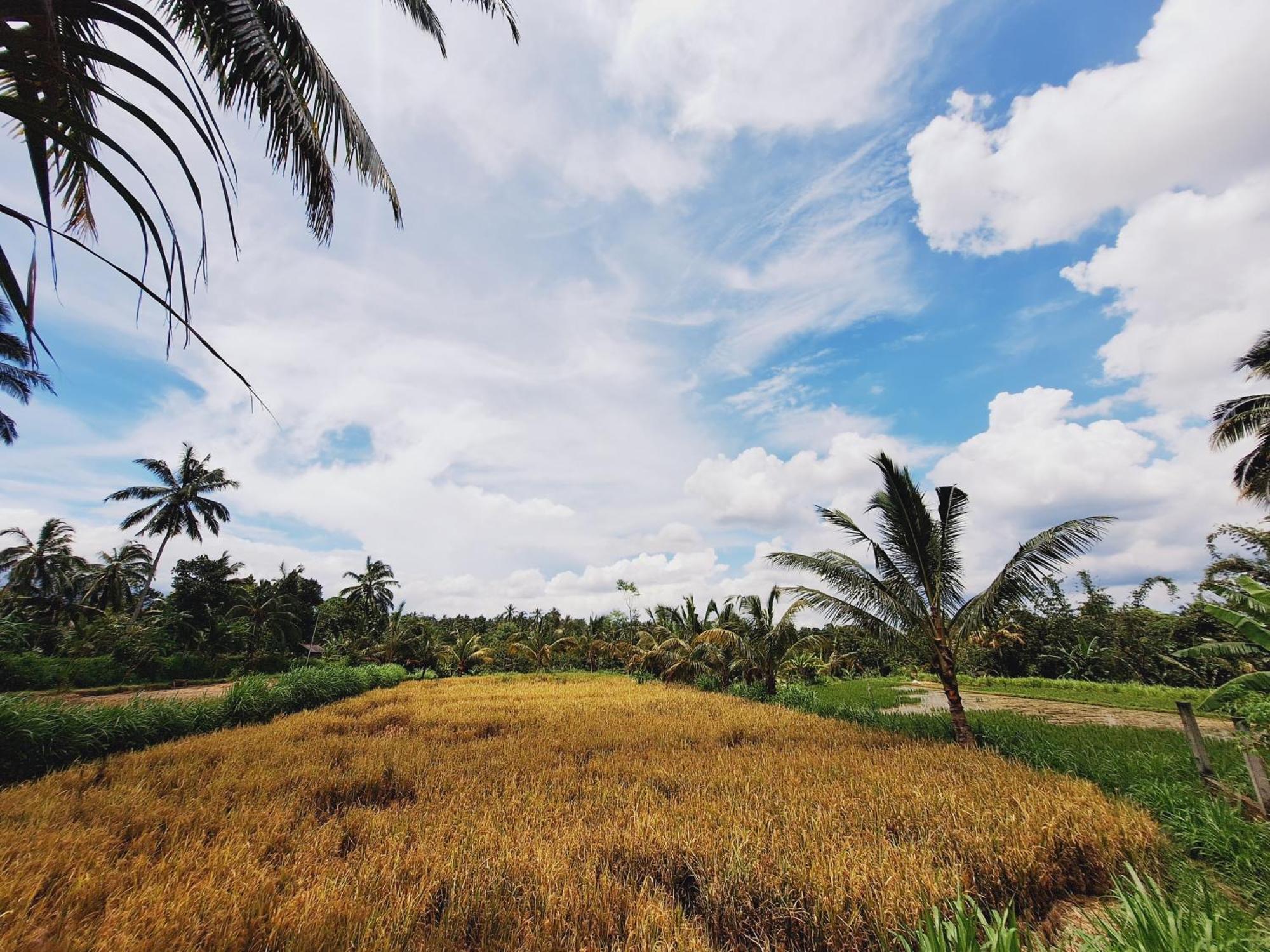 Bunga Maliq Bungalow Lombok Тетебату Екстериор снимка